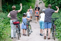 Wandern im Neukloster Forst